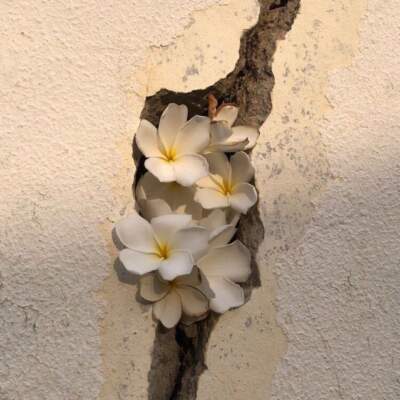 دانلود آهنگ  خراب هاکردی می شب و روزه