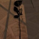 دانلود آهنگ مجید خراطها حلقه