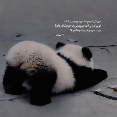 دانلود آهنگ  میدونی تایپمو پسر بدی نشو