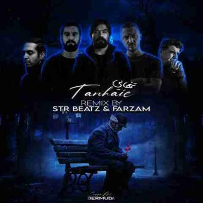 دانلود آهنگ  تنهایی از شجریان سورنا مسین شایع نوید بهرام