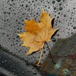 دانلود آهنگ تا زمانی که رسیدن به تو امکان دارد