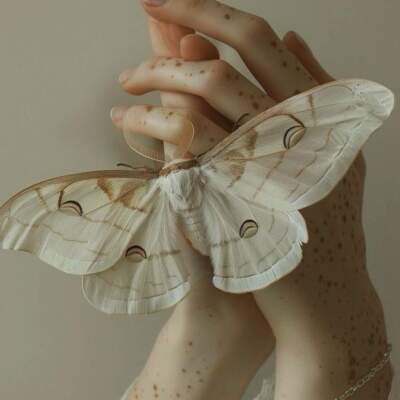 دانلود آهنگ  وﻗﺘﻰ ﺗﻮ ﻧﺒﺎﺷﻰ ﻣﻦ ﺑﻪ ﻣﻦ ﻣﺸﻜﻮﻛﻢ ﺑﻪ ﻫﺮ ﮔﻞ ﺑﻪ ﻫﺮ ﺳﺎﻳﻪ روﺷﻦ ﻣﺸﻜﻮﻛﻢ