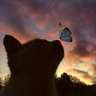 دانلود آهنگ  بهت قول میدم سخت نیست با صدای عایشه گل