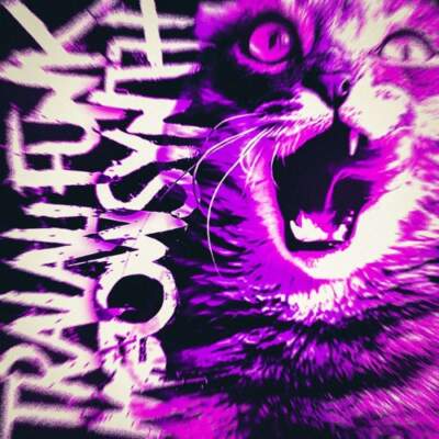 دانلود آهنگ  فانک dj frizer tralali funk