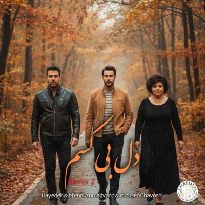 دانلود آهنگ  دله بی کسم با صدای هایده محسن چاوشی مهدی احمدوند