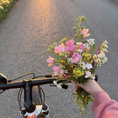 دانلود آهنگ  علیراد