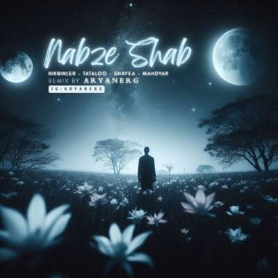 دانلود آهنگ  نبض شب با صدای مهدیار و امیر تتلو و شایع و Nikbinler