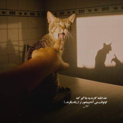 دانلود آهنگ بشه منه فداش بشم منه قربونش بشم منه بچه خودمه دانلود آهنگ بشه منه فداش بشم منه قربونش بشم منه بچه خودمه