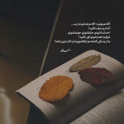 دانلود آهنگ  به هر چیزی که آسیبی کنی آن چیز جان گیرد
