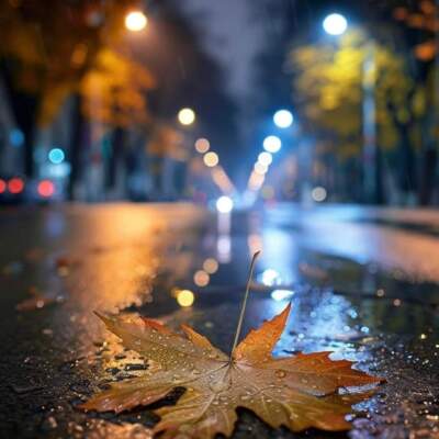 دانلود آهنگ  داره برف میباره زیاد هی با صدای زن