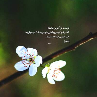 دانلود آهنگ  دلم چه تنگه هوای گریه داره با صدای بچه