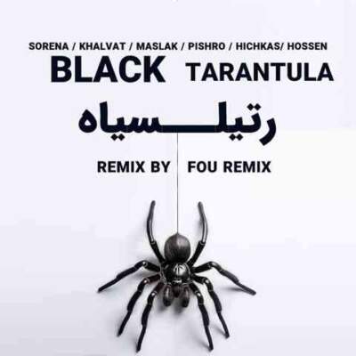 دانلود آهنگ رتیل سیاه از علی سورنا امیر خلوت مسلک پیشرو هیچکس حصین دانلود آهنگ رتیل سیاه از علی سورنا امیر خلوت مسلک پیشرو هیچکس حصین