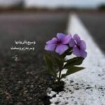 دانلود آهنگ گر جان به جان من کنی دانلود آهنگ گر جان به جان من کنی