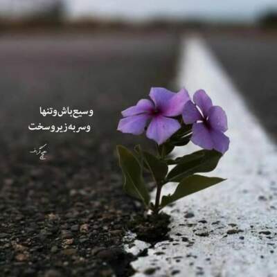 دانلود آهنگ گر جان به جان من کنی دانلود آهنگ گر جان به جان من کنی