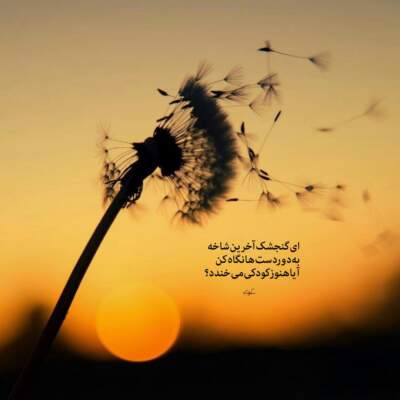 دانلود آهنگ  من نه میخوام نه میتونم تو رو از یاد ببرم رضا صادقی