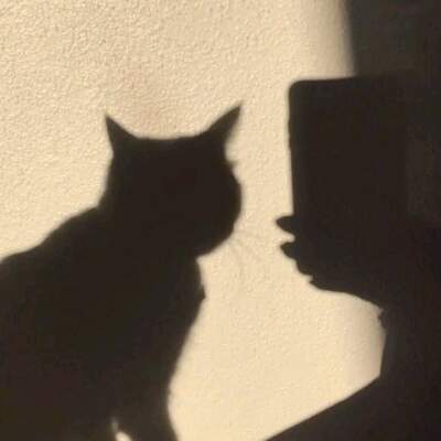 دانلود آهنگ  من اولین و اخرین خریدار اداتم