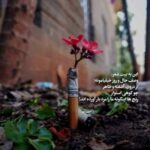 دانلود آهنگ مسعود جلیلیان زخم عشق دانلود آهنگ مسعود جلیلیان زخم عشق