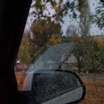 دانلود آهنگ مرتضی پاشایی دیدی