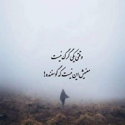 دانلود آهنگ  نیا دیگه دیر شده راکوب