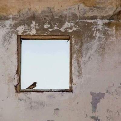 دانلود آهنگ  شکار از ابی