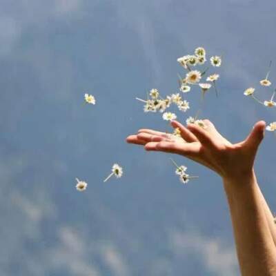 دانلود آهنگ  تو شدی آرامشم از تو دست نمیکشم حامد پهلان