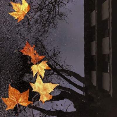 دانلود آهنگ وای هم اتاقی رفیق و ساقی امیر رمضانی دانلود آهنگ وای هم اتاقی رفیق و ساقی امیر رمضانی