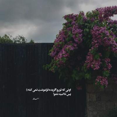 دانلود آهنگ  چقد سخته تو تنهایی همه ش میگم که اون مرده