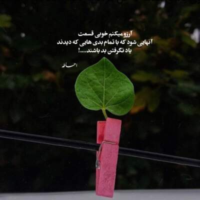 دانلود آهنگ  اگه بعد تو عاشق نشم چی هایده هوش مصنوعی