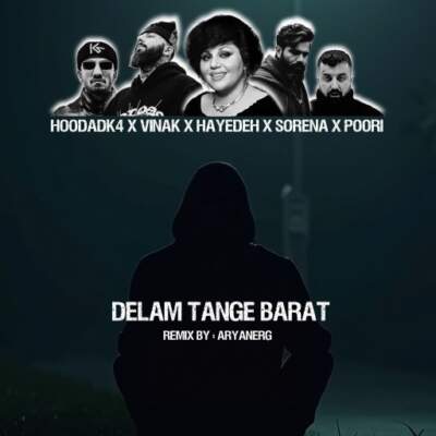 دانلود آهنگ  دلم تنگه برات از علی سورنا پوری ویناک هودادکا هایده