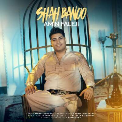 دانلود آهنگ  شاه بانو با صدای امین فالجی
