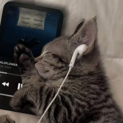 دانلود آهنگ برنمیگردم من اصلا دانلود آهنگ برنمیگردم من اصلا