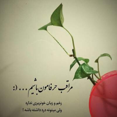 دانلود آهنگ بیا بیا از شهرام صولتی دانلود آهنگ بیا بیا از شهرام صولتی