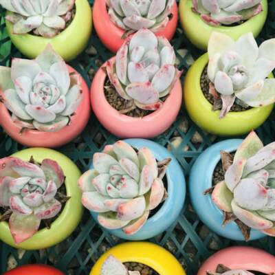 دانلود آهنگ  بغض تو گلوم سنگین شده