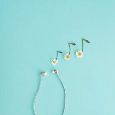 دانلود آهنگ  دگر ز حال تو بی خبرم از محمد عقیقی