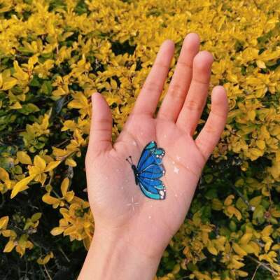 دانلود آهنگ  دیدی ای مه غلامحسین بنان