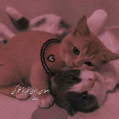 دانلود آهنگ  دختر بندر لب تو جون به لبم کرد به خدا از اندی