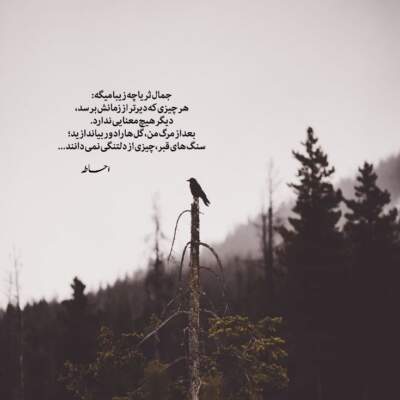 دانلود آهنگ  ای وای از عشق سخته وصفش