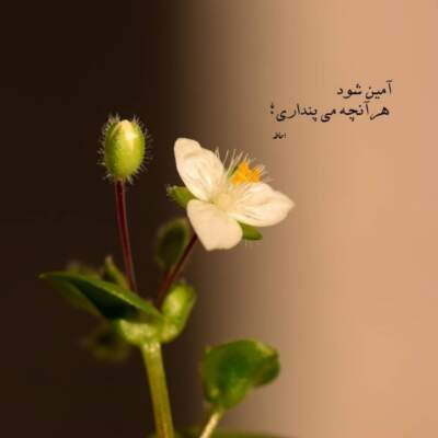 دانلود آهنگ غمگین و تنها بودم وقتی تو پیدا شدی دانلود آهنگ غمگین و تنها بودم وقتی تو پیدا شدی