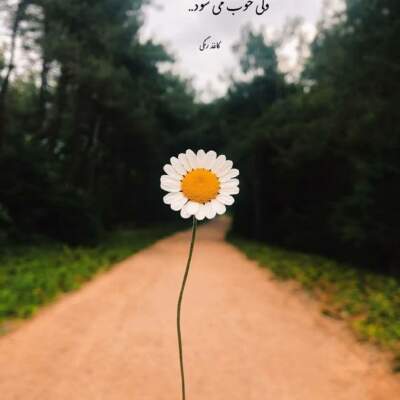 دانلود آهنگ  قاصدک هان چه خبر آوردی محمدرضا شجریان