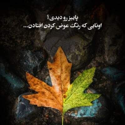 دانلود آهنگ  قربون زیبایی تیاتو قربون پیچ و خم میاتو با صدای قاسم فاضلی