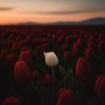 دانلود آهنگ گل لبخند تو هر لحظه که پژمرد دلم شکست دانلود آهنگ گل لبخند تو هر لحظه که پژمرد دلم شکست