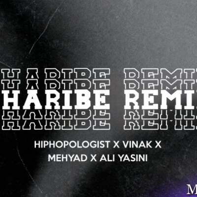 دانلود آهنگ  غریبه از هیپهاپولوژیست ویناک مهیاد علی یاسینی