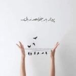 دانلود آهنگ کبوتری خسته منم دور سرت می گردم دانلود آهنگ کبوتری خسته منم دور سرت می گردم