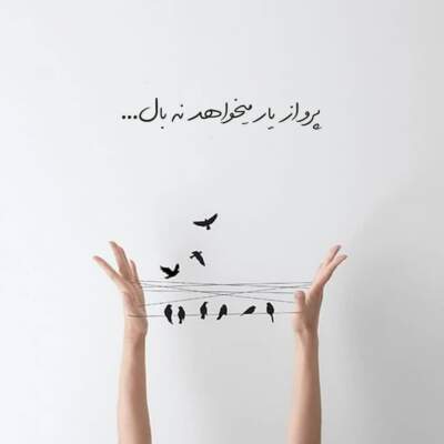 دانلود آهنگ  کبوتری خسته منم دور سرت می گردم