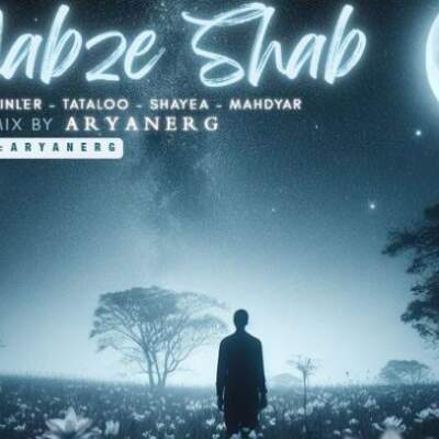 دانلود آهنگ  نبض شب از کیباریه امیر تتلو شایع مهدیار