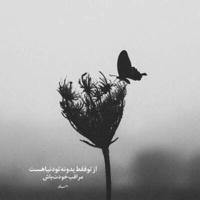 دانلود آهنگ  لب ساحل پنج صبح وانتونز