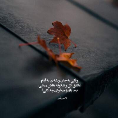 دانلود آهنگ  منو ببر به اون شبی که ستاره رو نشونه کردی