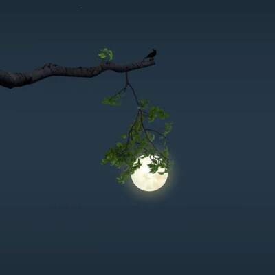 دانلود آهنگ  نیر دیگه بسه حمید فلاح