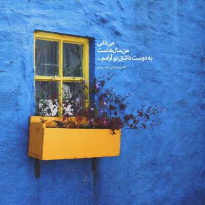 دانلود آهنگ  پیکمی از ریری