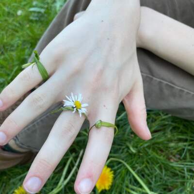 دانلود آهنگ  سر و سامانم بیا ای همه جانم بیا